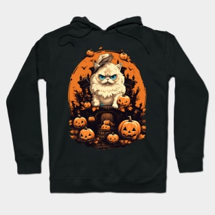 Persian Cat Cat Halloween, Cat Lover Hoodie